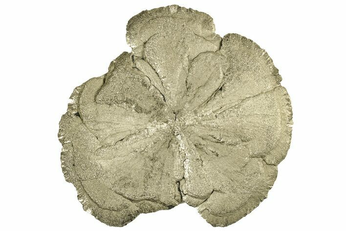 Pyrite Sun - Sparta, Illinois #315882